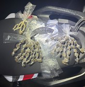 Polícia Militar apreende drogas e detém dois suspeitos em Colônia Leopoldina
