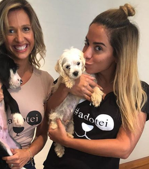 Anitta adota cachorros vítimas de maus tratos com Luisa Mell: 'Quero todos'