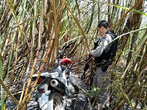 Veículo roubado é recuperado em canavial de Novo Lino