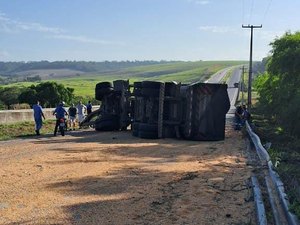 Carreta tomba na BR 101 e deixa carga de milho espalhada na pista