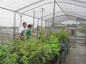 Ufal em Arapiraca faz parceria para ações ambientais no Agreste e Sertão