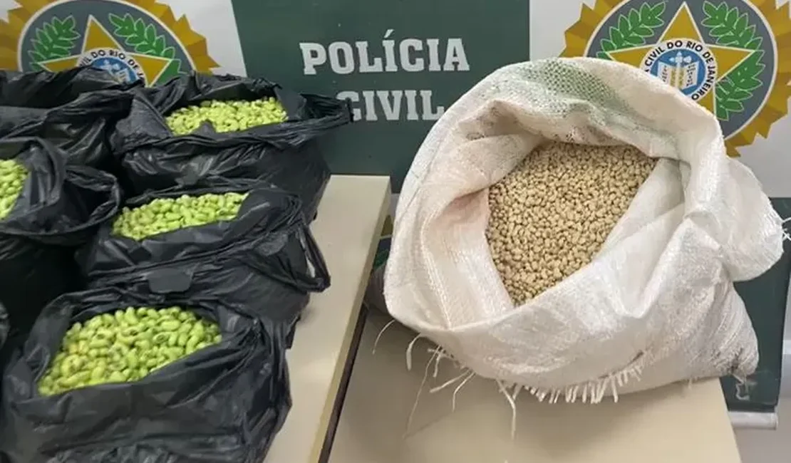 Homem é preso no Rio por tingir de verde feijão fradinho para vender como feijão de corda