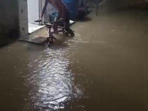 Após chuvas, enchente invade casas e rodovia AL-105 no município de São Luís do Quitunde