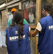 Busca ativa da Seprev acolhe pessoas em situação de vulnerabilidade em Maceió