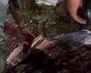 Jacaré encontrado em praça de Marechal Deodoro é resgatado