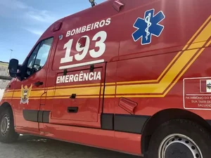 Égua entra em trabalho de parto dentro de juizado em União