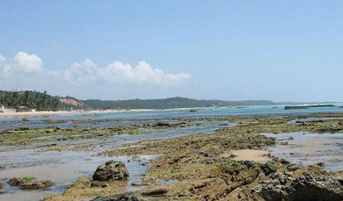 PC investiga esquema de venda ilegal de terrenos em área de preservação no Riacho Doce