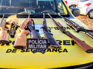 Homem é preso com sete armas em Girau do Ponciano
