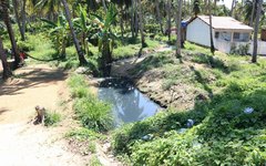 Riacho poluído passa próximo a imóveis em Japaratinga