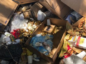 FPI flagra unidade de saúde com descarte irregular de lixo em Pão de Açúcar
