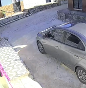 Homem que atropelou e matou cadela no São Jorge se apresenta à polícia