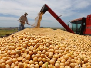 Cidades alagoanas aparecem no ranking do agronegócio nacional