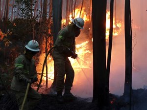 Cerca de 2 mil bombeiros combatem incêndio no centro de Portugal
