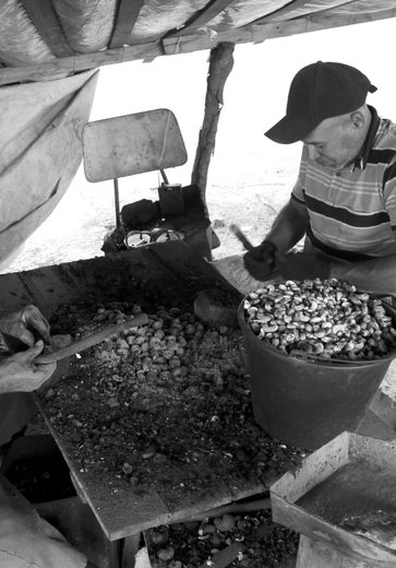 Projeto Interiores: fotógrafos expõem em site imagens do Sertão de Alagoas
