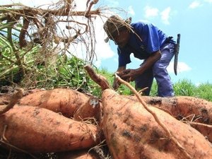 Recursos vão regularizar questões fundiárias em Alagoas