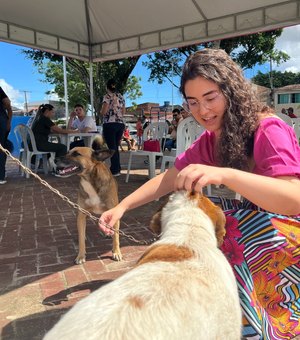 PL aprovado em Maceió restringe fogos de estampido para proteger pessoas e animais
