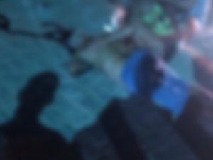 Homem é assassinado na noite deste sábado (12) em Porto Calvo