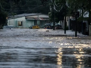 Rio Grande do Sul investiga mais de 800 casos de leptospirose