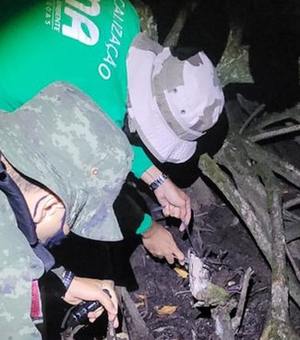 Mais de 70 caranguejos são resgatados de cativeiro em Arapiraca e suspeitos são autuados