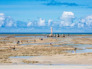 Praias de Alagoas estão entre as 15 melhores da América do Sul, aponta Tripadvisor