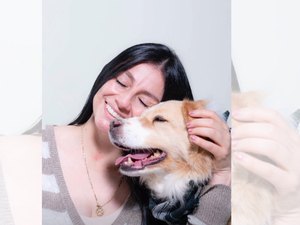 Cachorro de rua se emociona ao ouvir que será levado para casa