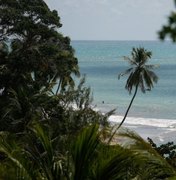 Reserva à beira-mar preserva patrimônio natural da Mata Atlântica em Japaratinga