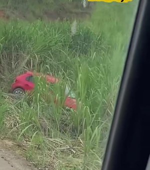 Carro sobra em curva da AL-105 e para em canavial de Porto Calvo