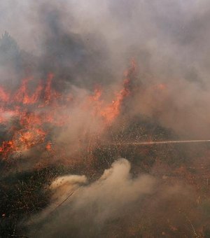 Incêndio florestal atinge Portugal e fere 32 pessoas
