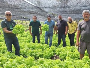 Projeto de Agricultura familiar gera renda em assentamento rural de Maragogi