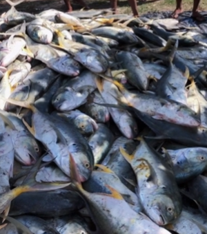 Enorme cardume é pescado por maceioenses no dia do trabalhador