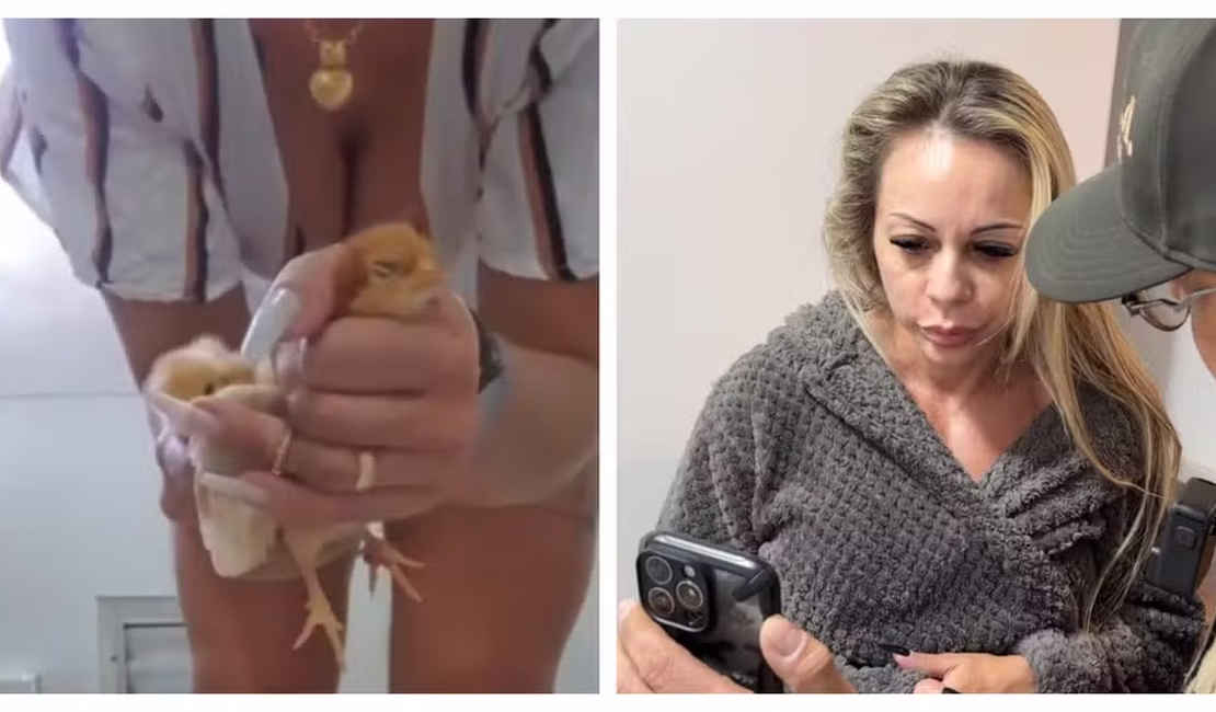 Suspeita de torturar e matar animais para vender vídeos na internet é presa em SP
