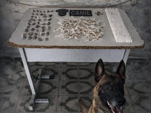 Mais de 500 porções de drogas são encontradas escondidas em terreno baldio em Arapiraca