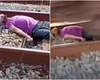 Homem deita em trilho e trem passa por cima dele em trend viral