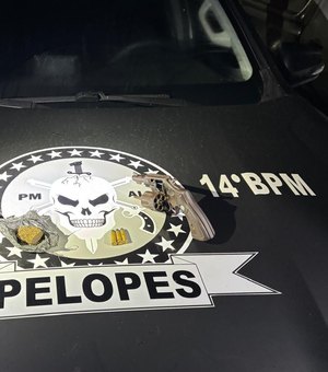 Polícia apreende armas e maconha no município de Joaquim Gomes