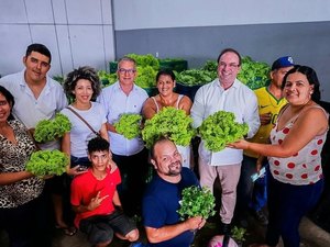 Arapiraca gera mais empregos e renda no meio rural com ampliação do Cinturão Verde