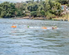 Penedenses são destaque na etapa do campeonato alagoano de Águas Abertas no rio São Francisco