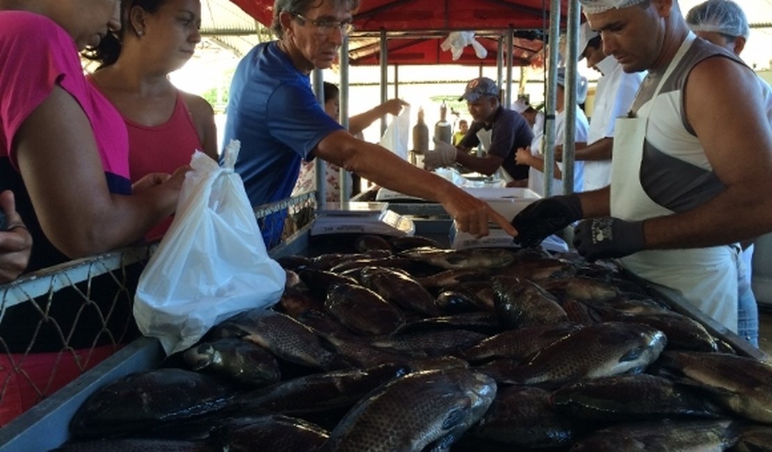 Terceira edição da Feira do Peixe Vivo incentiva produção de pescados