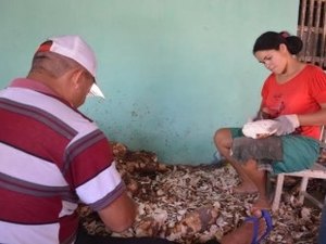 Famílias do povoado Mata Limpa comemoram reativação de Casa de Farinha