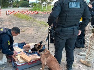 Ônibus é interceptado com mais de 30kg de maconha em São Sebastião
