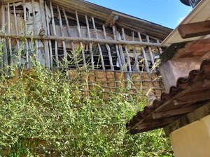 Maragogi: casa de taipa corre risco de desabar no conjunto Adélia Lira