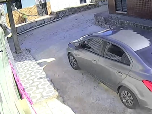 Homem que atropelou e matou cadela no São Jorge se apresenta à polícia