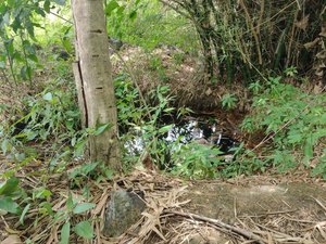 Cadáver com sinais de agressão é encontrado em poço na zona rural de Arapiraca