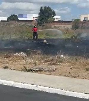 [Vídeo] Incêndio atinge terreno baldio no bairro Brasiliana, em Arapiraca