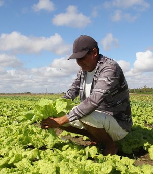 Prefeitura de Arapiraca lança feira que coloca o município no calendário agro nacional