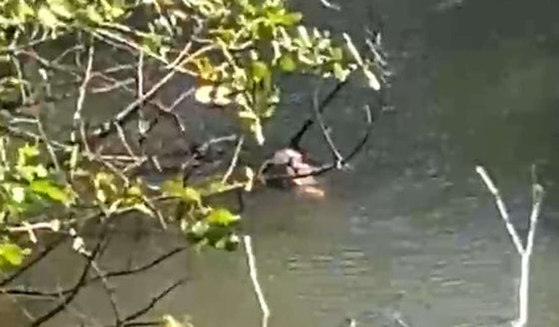 Corpo é encontrado em rio no povoado Santa Luzia, na Barra de Santo Antônio