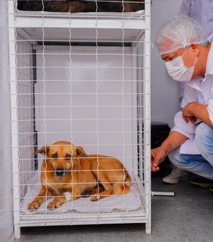 Maior programa de saúde animal de Arapiraca chega à Canafístula neste sábado (8)