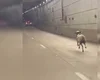 Ovelha é flagrada correndo entre os carros no túnel de Taguatinga