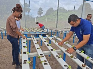 Ifal Maragogi: inscrições para curso superior de Tecnologia em Horticultura terminam neste domingo (19)