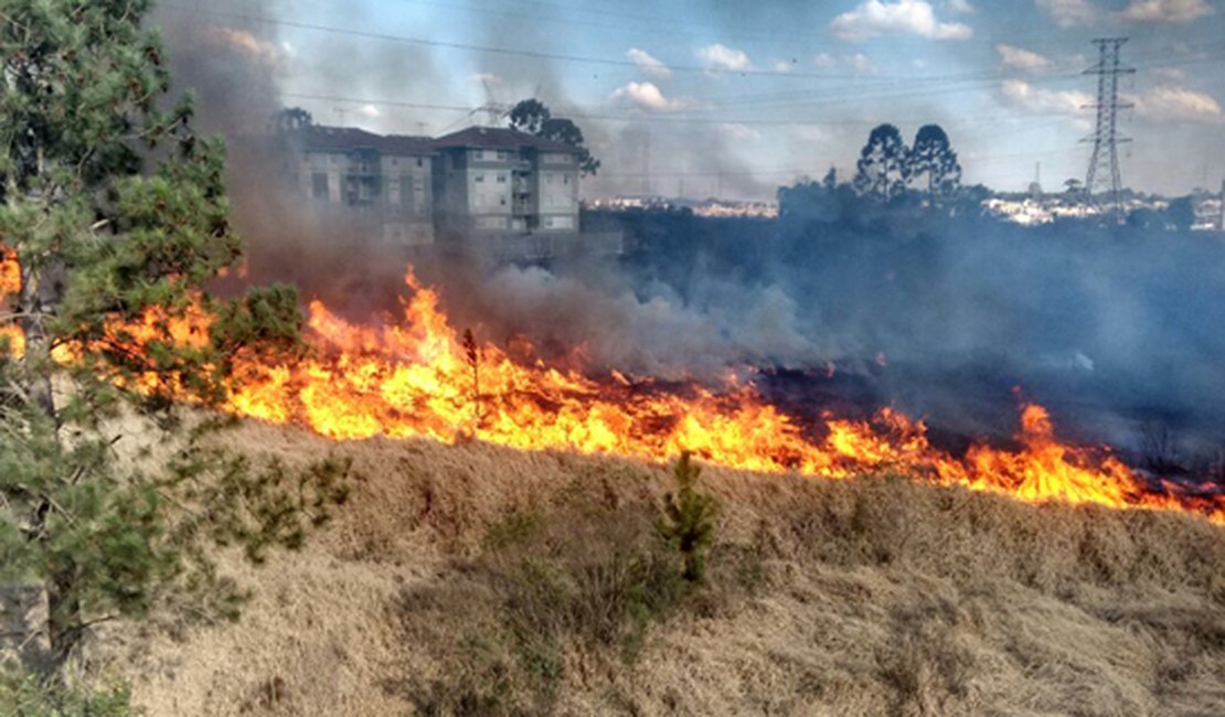Incêndio em vegetação assusta moradores no bairro do Feitosa
