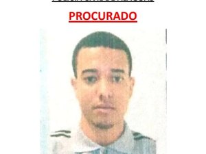 Polícia recupera veículos furtados de locadoras